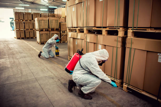 Trusted Roberts, WI Pest Control Experts