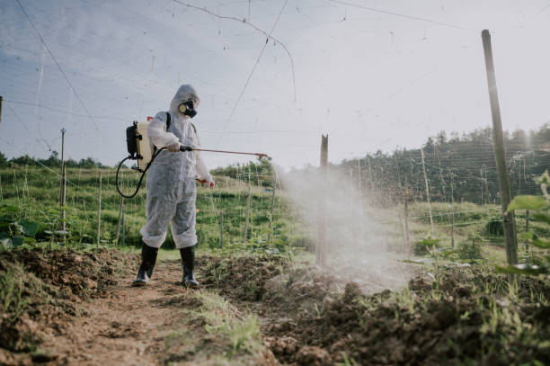 Best Commercial Pest Control Services  in Roberts, WI