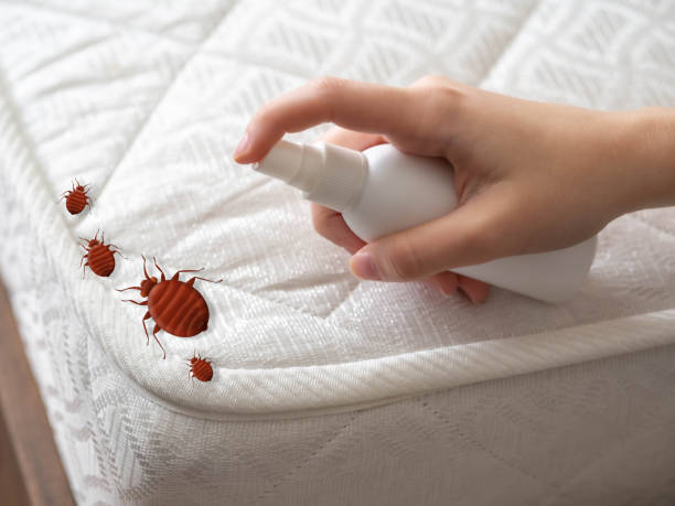 Best Mosquito Control Services  in Roberts, WI