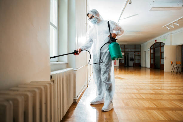 Best Flea Control Services  in Roberts, WI