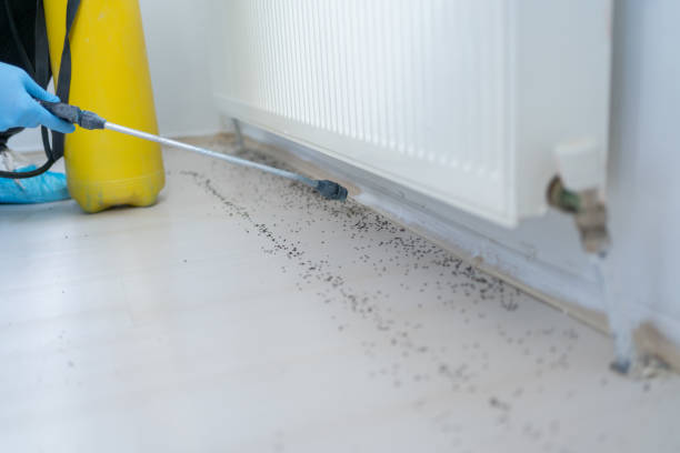 Best Insect Control  in Roberts, WI