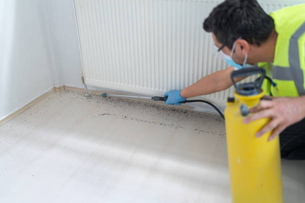 Best Affordable Pest Control Services  in Roberts, WI